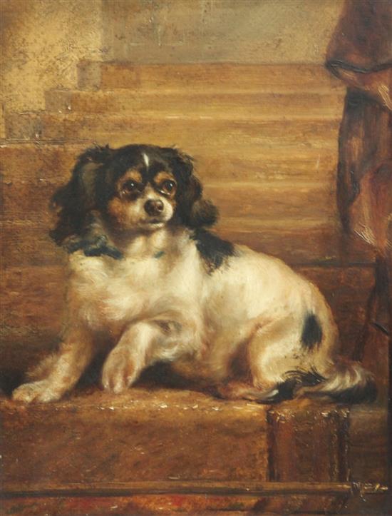 Attributed to John Arnold Wheeler Portrait of a King Charles Spaniel, 12 x 9in.